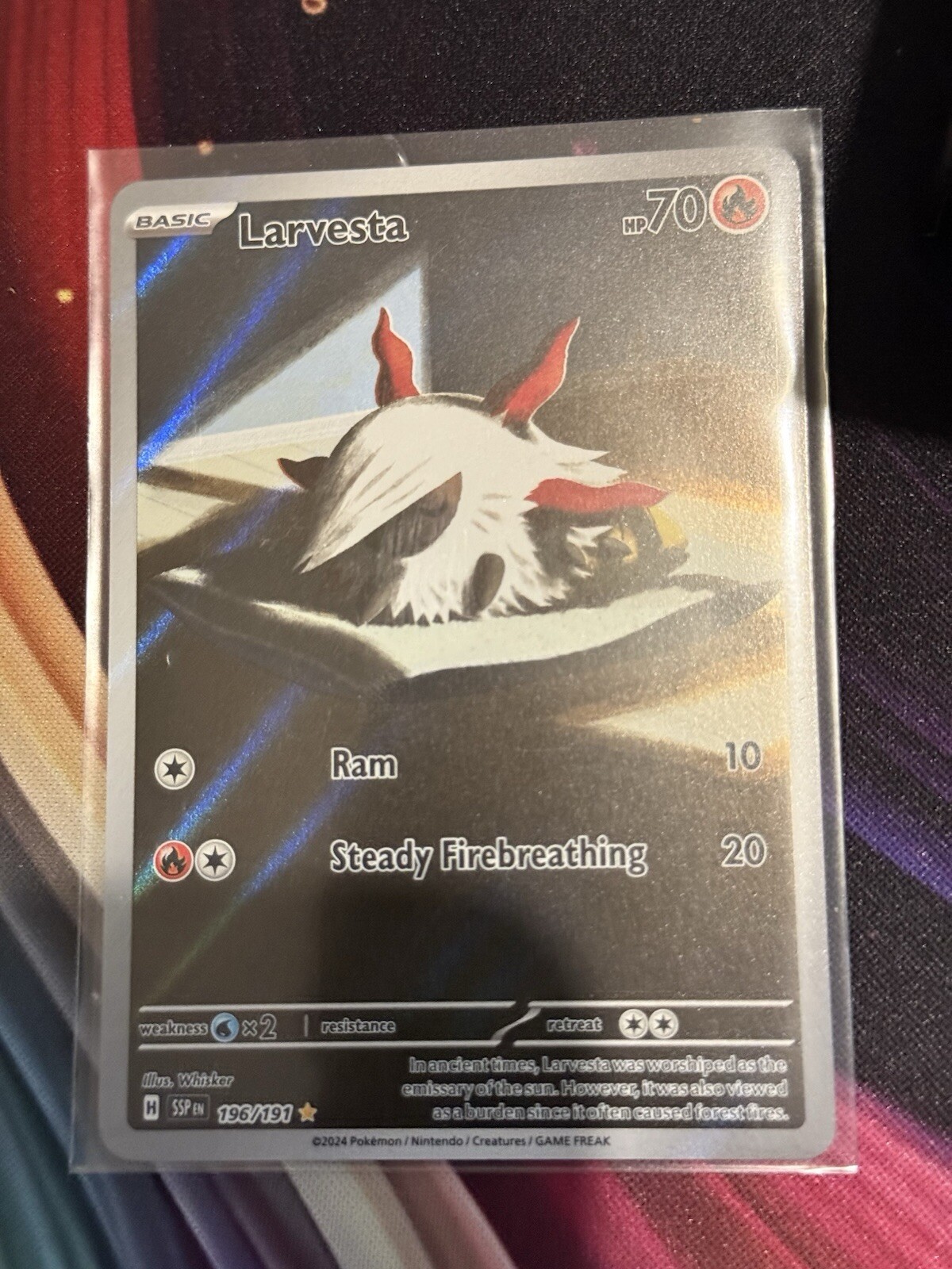 La Camera Di Commercio Assume Diplomati: Opportunità Lavorativa Da Non Perdere - Foto 9