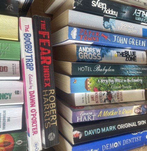 40 x BÜCHERPAKET RESTPOSTENZUSTAND VON AKZEPTABEL BIS GUT. ÜBERPRÜFEN SIE BILDER. - Bild 4 von 9