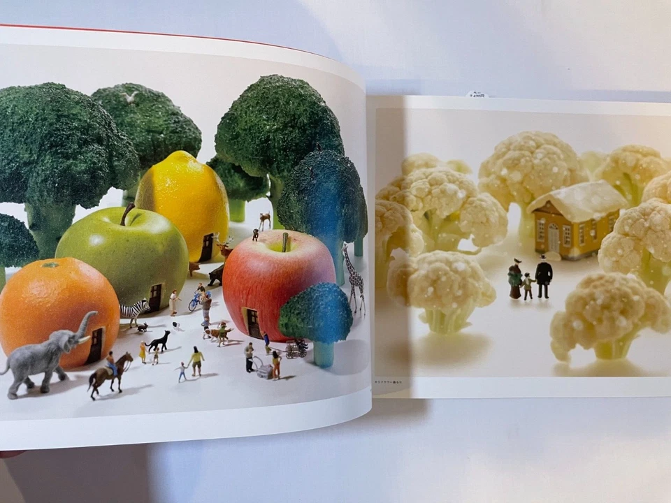 Miniature Life at Home Book Japan Tatsuya Tanaka Art Collection English Japanese - Image 3 of 4