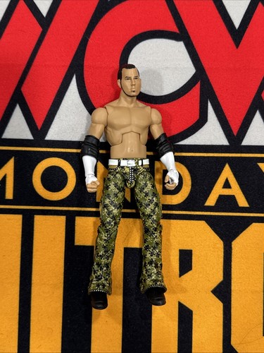 J90 Matt Hardy Elite Ringside Shop Exclusive WWE Mattel Figure