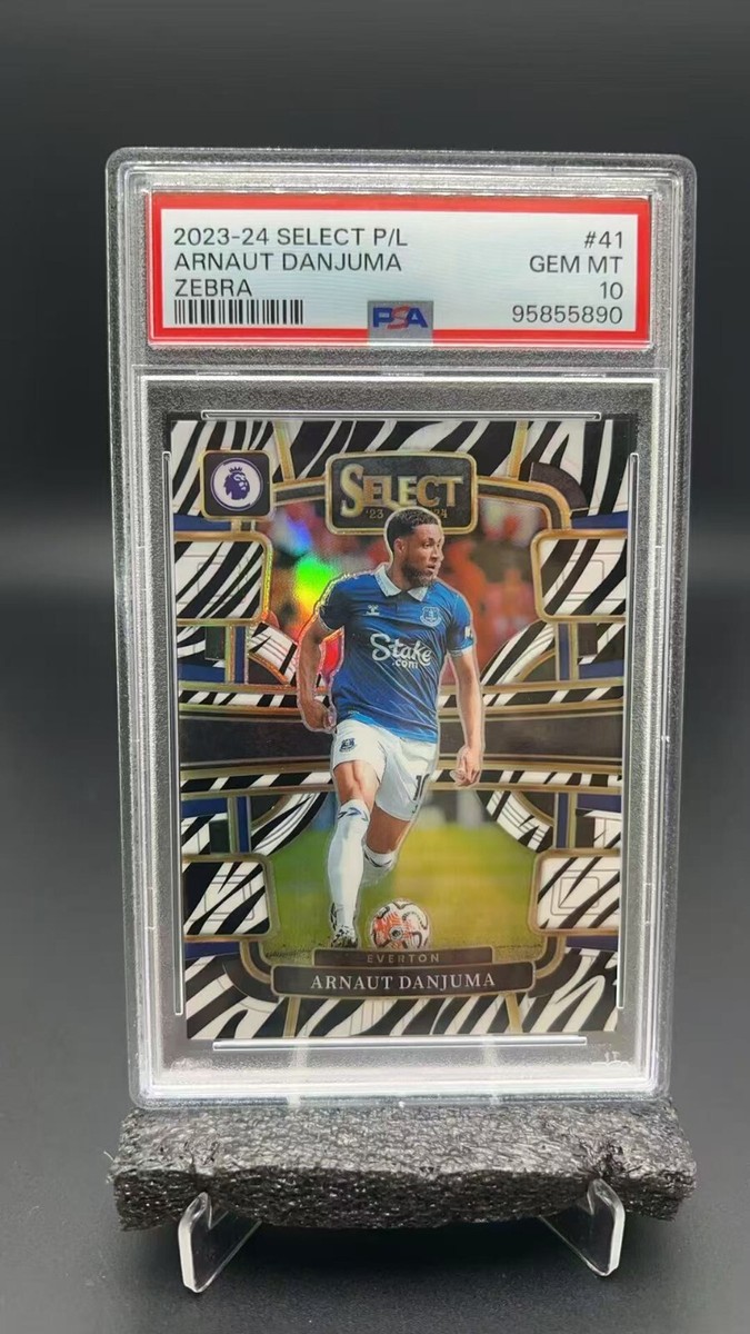 2023-24 Panini Select Premier League Arnaut Danjuma Zebra