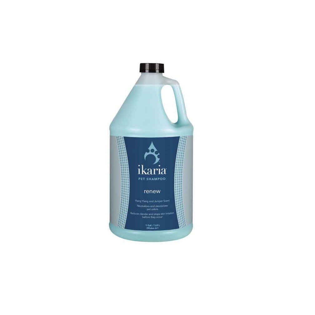 Luxurious Rich Spa Inspired Restorative