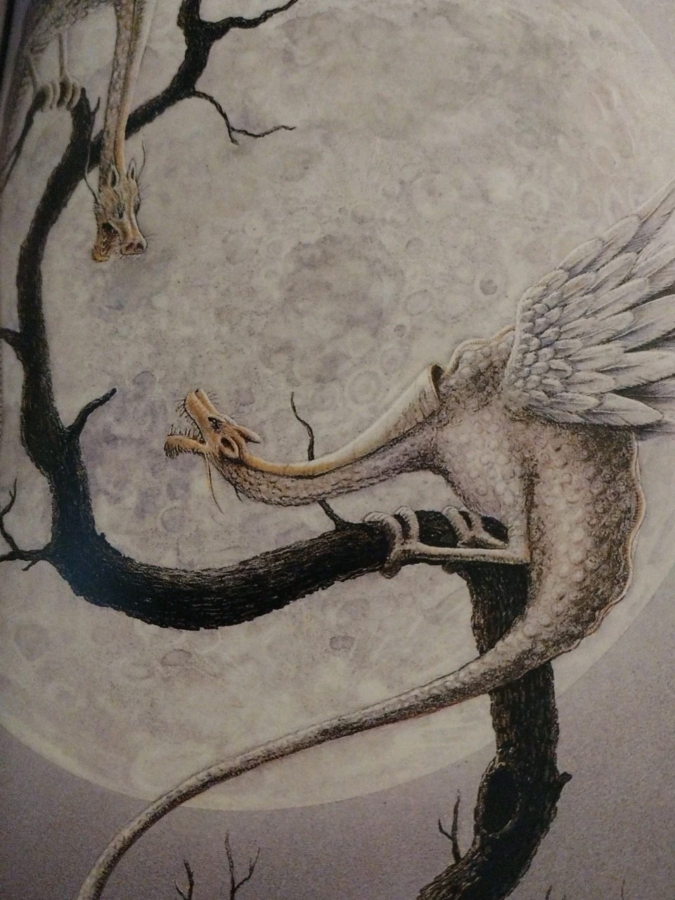 Picture 7 of 10