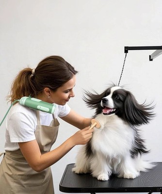 L&W BROS. Hands-Free Dog Dryer   Powerful & Professional Pet Blow Dryer for S...