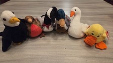 Beanie Babies Lot of 6 North American Birds