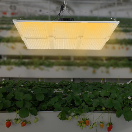 660W LED Grow Lights Panel Sunlike Full Spectrum For Indoor Plants Flowers IP65