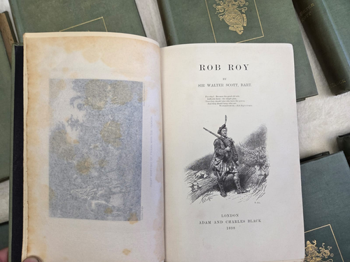 Sir Walter Scott "Waverley Novels" 25 antique books, Adam and Charles Black - Foto 8 di 17