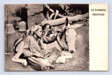 Egyptian Boy Napping w Donkey "Deep Sleep" Antique Cairo Postcard 1900s