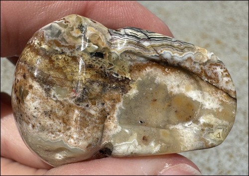 ~Mesmerizing~ Crazy Lace Agate CRYSTAL SKULL - Stamina, Divination - Picture 10 of 10