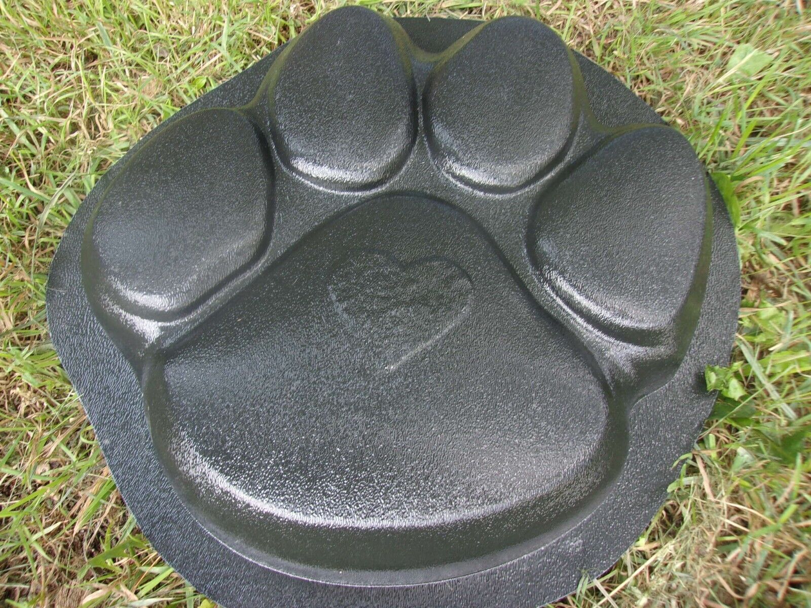 Picture 4 of 6