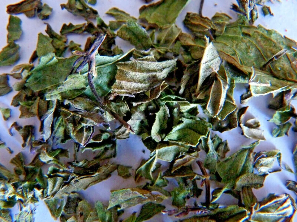 Зеленый мятный лист 10 г соусы ягненок ноги горох чай сироп курица - Изображение 3 из 3