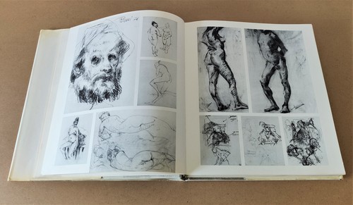 Rumi Donnino - Paolo Rizzi, Gianni Cavazzini - Edizioni Bolis 1983 - Picture 7 of 9