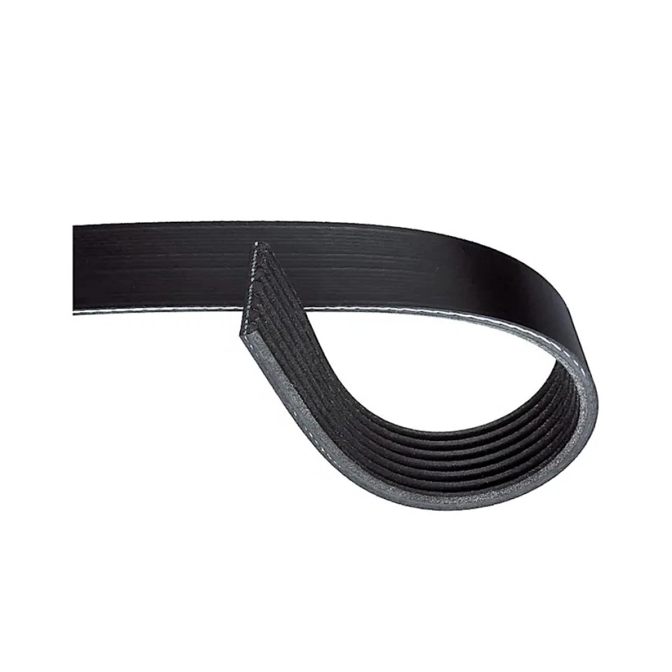 正品 ACDelco 适用于日产 Micra 2015 - 2018 蛇形皮带 | 强化橡胶 — 第 2/4 张图片