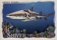 2021 Topps Allen and Ginter Deep Sea Shiver #DSS7 Lemon Shark - NM-MT