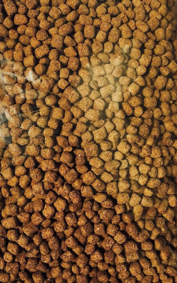 PURINA 40 lbs Jumbo Pellet Koi Chow -Multiple Species Fish Food Feed PKF