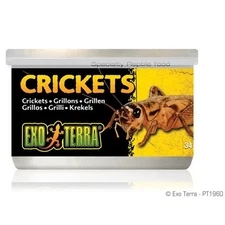 EXO TERRA CRICKETS - 1.2 OZ