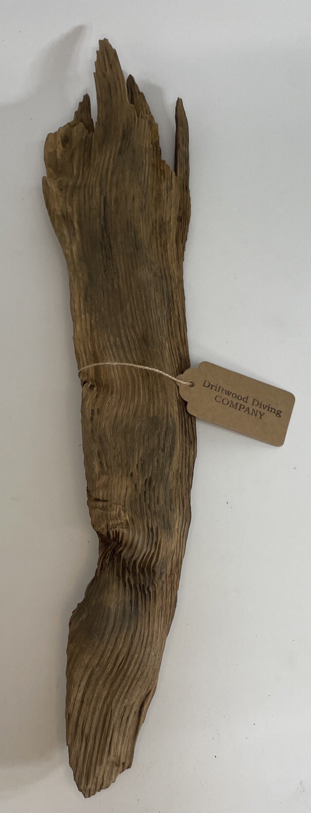 26” Heavy Solid Cypress Driftwood Unfinished Natural Aquarium Plant Art