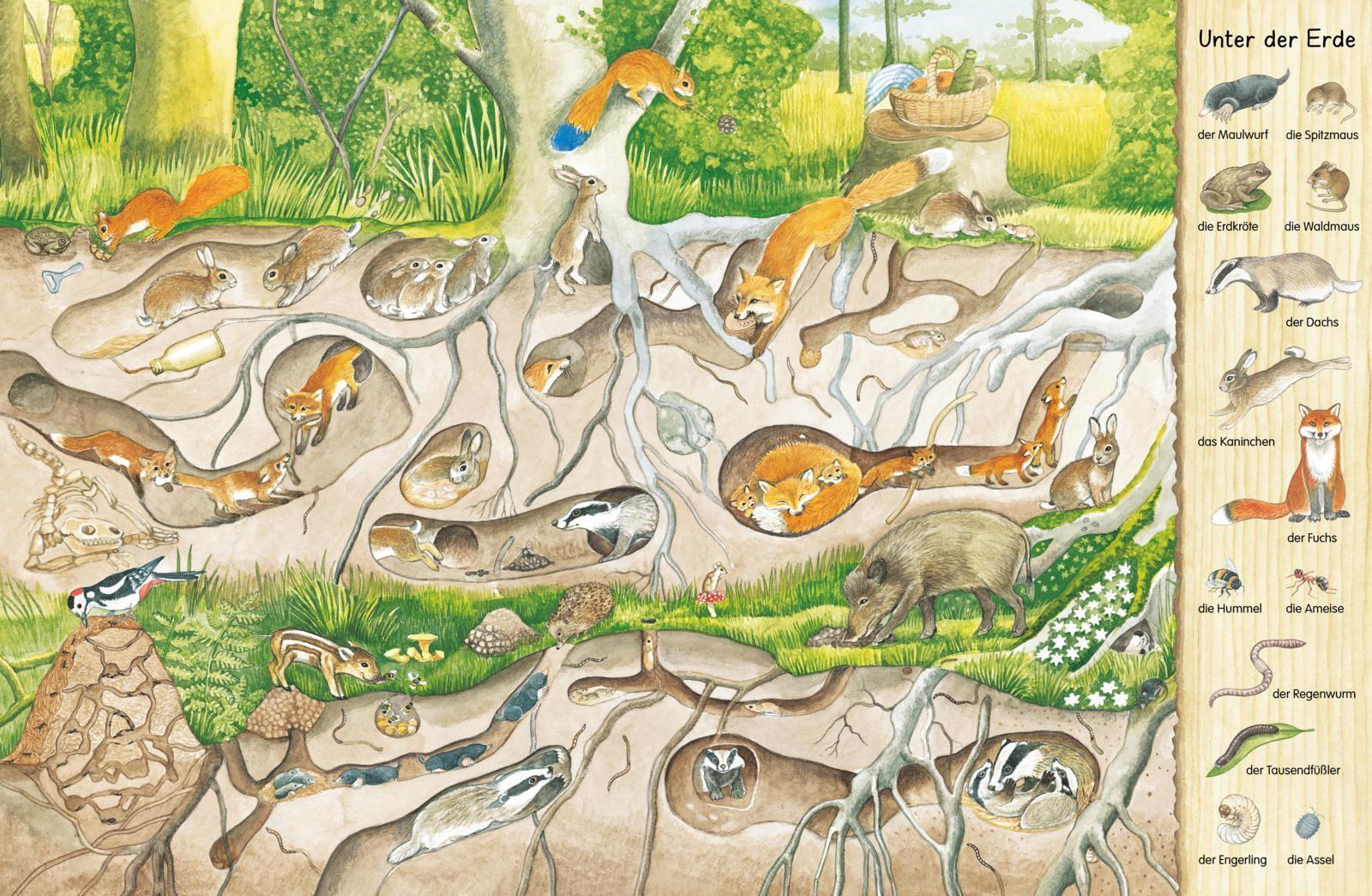 Thumbnail - Christine Henkel Mein Erstes Wimmelbuch - Wald