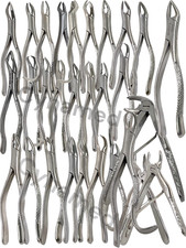 29Ea Dental Extracting Forceps Oral Surgery Tooth Extractions Dental Instruments