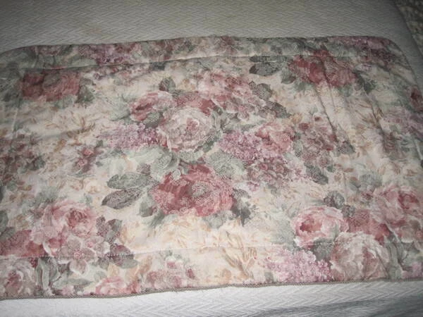 CROSCILL COTSWOLD CINNAMON GREEN CREAM FLORAL (2PC) STANDARD SHAMS 24" X 28" - Image 3 of 4