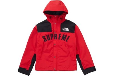 Supreme The North Face® Arc Logo Mountain Parka Red | eBay