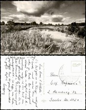 Ansichtskarte Bad Bramstedt Umlandansicht Im Moor 1960