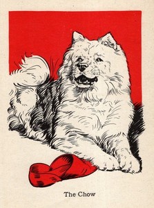 1940 Antique Chow Chow Print Vintage Diana Thorne Chow Illustration 6558a