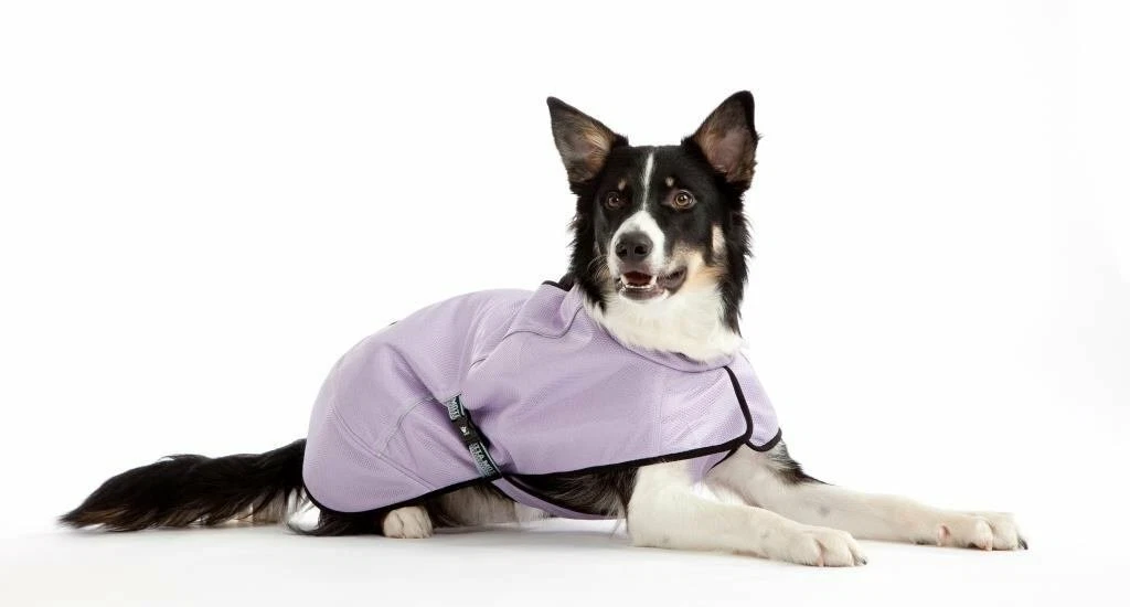 Hurtta Cooling Coat K hlweste f r Hunde Gr. 80 Lila Hundek hlweste Geschirre