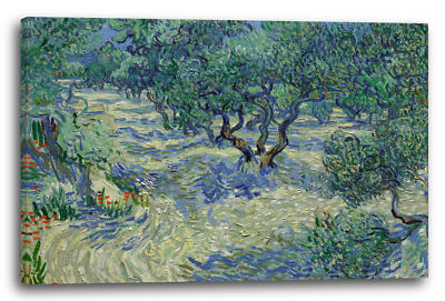 Kunstdruck Vincent van Gogh - Oliven-Feld