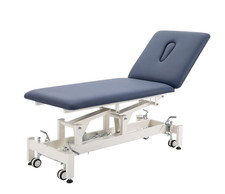 Hi-Lo Adjustable Physical Therapy Table - Comfortable Spa Bed for Massage  Acup