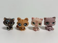 Littlest Pet Shop Authentic Hasbro Lot Of 4 Persian Cat Figures