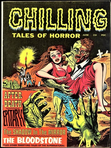 CHILLING TALES OF HORROR VOLUME 1 #1 STANLEY PUBLICATIONS 1969 - 第 1/3 張圖片