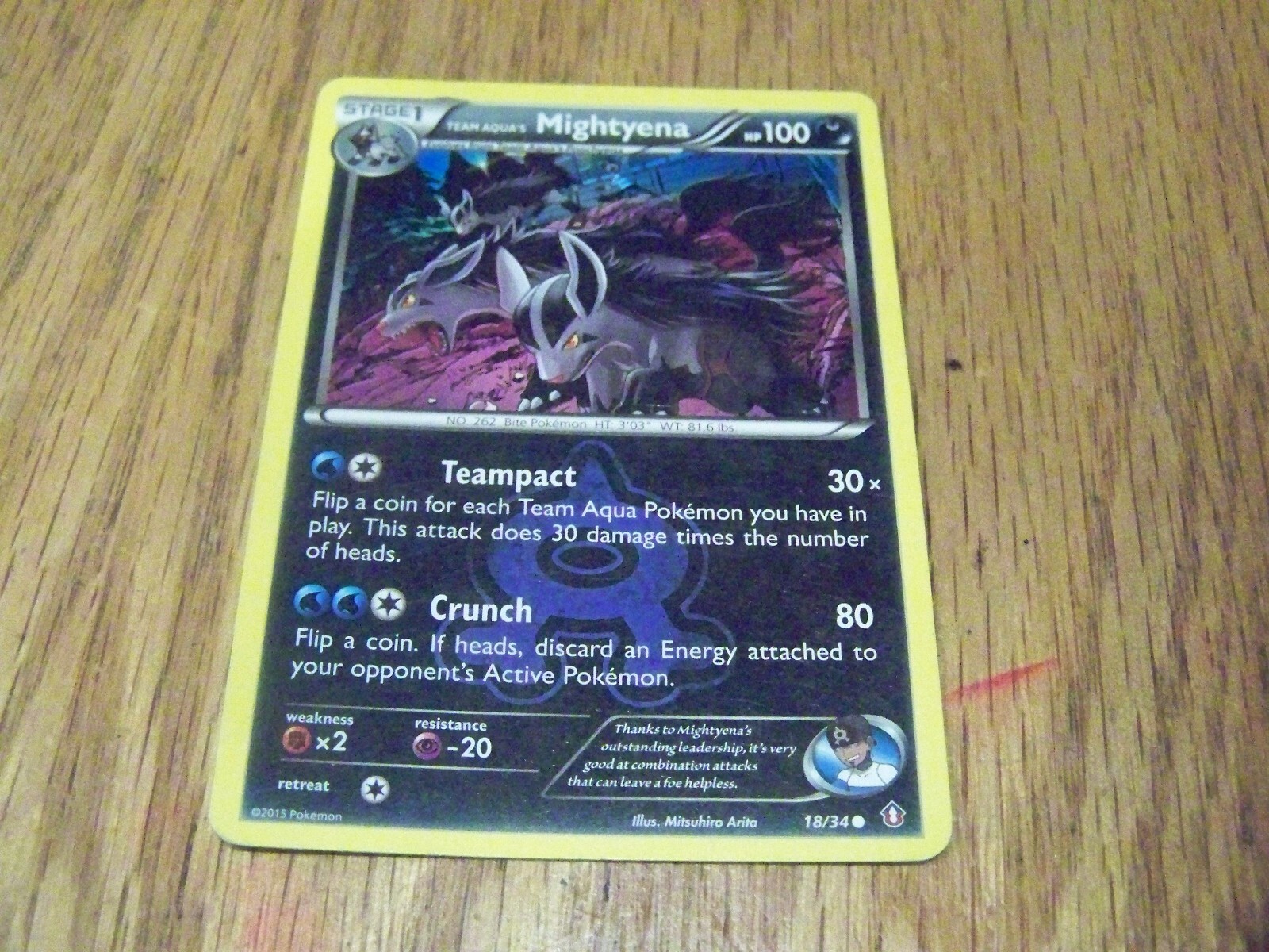 MIGHTYENA  POKEMON CARD  18/34