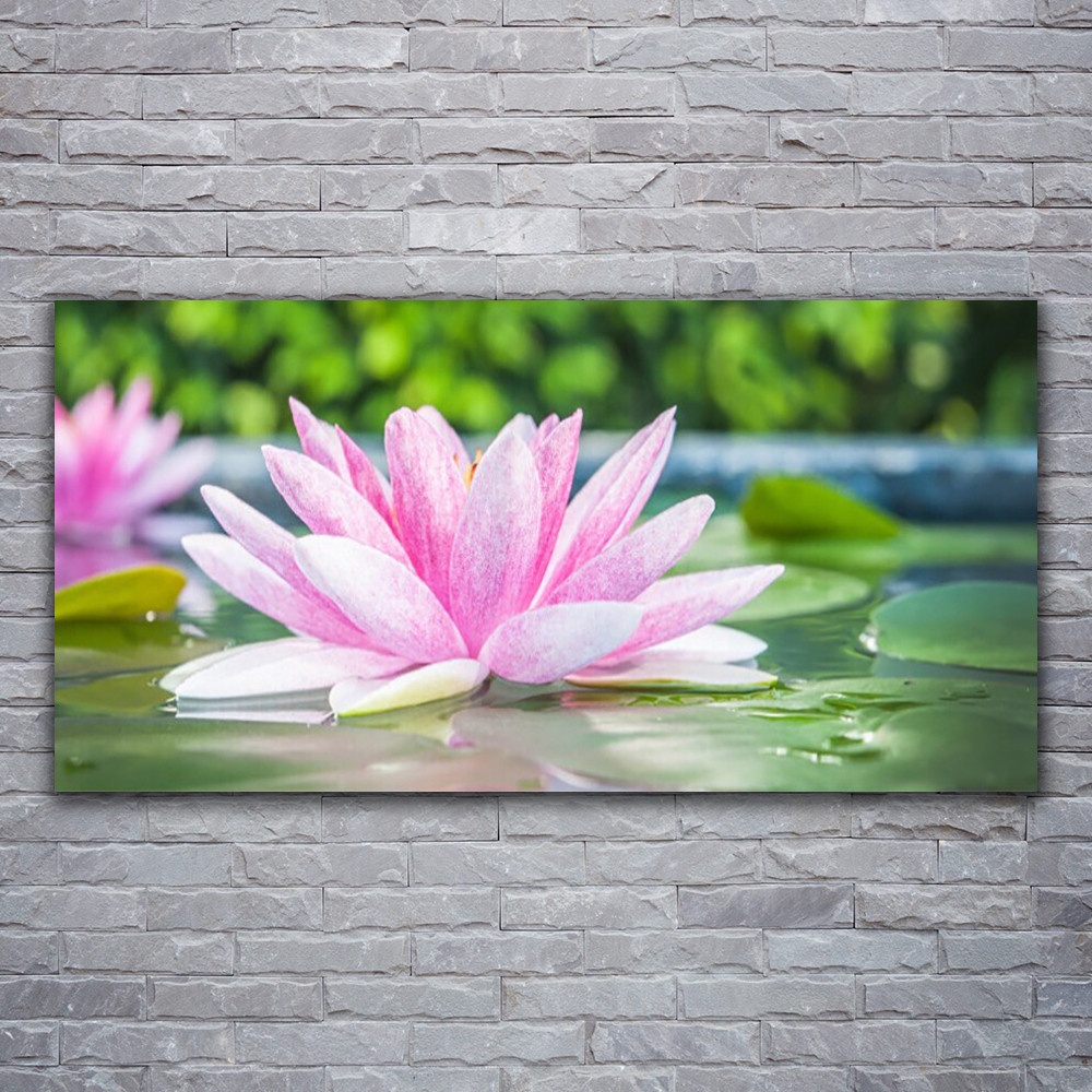 Image sur verre acrylique 120x60 cm tableau decoration murale eau fleur