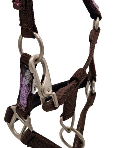 Halfter Wings Feder Minishetty Mini Shetty Fohlen MMS Braun Blau Fohlenhalfter - Bild 23 von 36