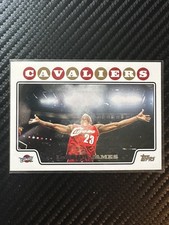 2008-09 Topps - LeBron James #23 Chalk Toss