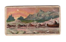British Empire HAVELOCK card 1912 #23 Trapper Husky Dog Sleigh Hudson Bay