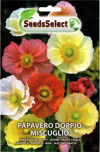 40 Semi/Seeds PAPAVERO Doppio Miscuglio