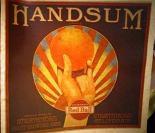 HANDSUM ORANGES VINTAGE 1970's AMERICANA IRON ON TRANSFER -NICE, B-16