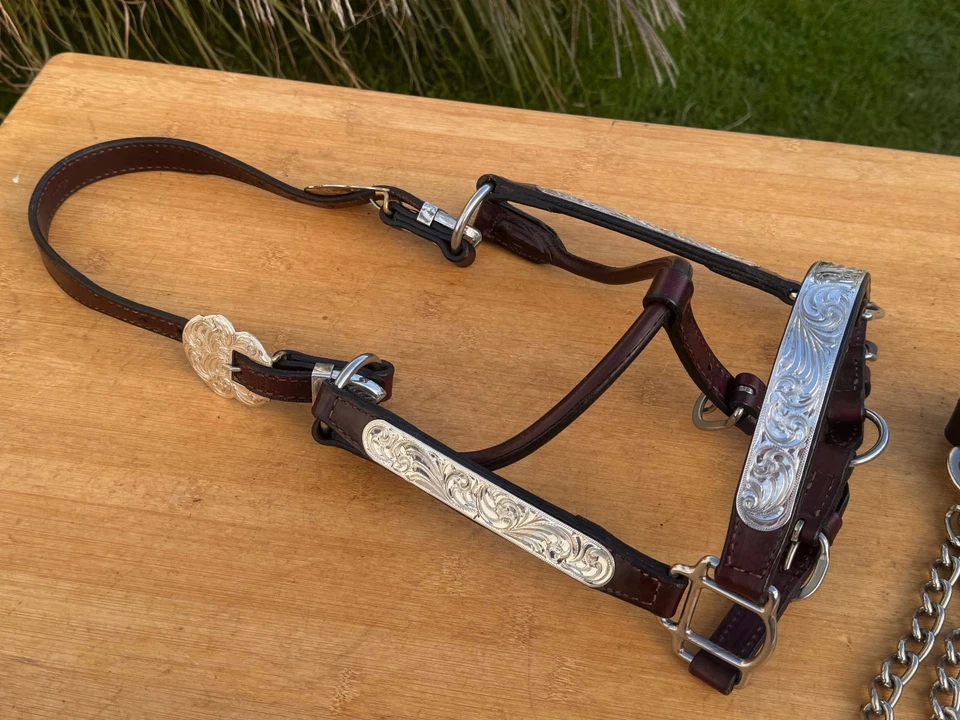 Halter para caballos CIRCLE Y Silver Western SHOW con plomo ~ tamaño completo ~ excelente estado Foto 2 de 4