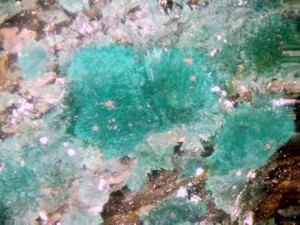 TURQUOISE - Crystals! - Bishop Mine, Lynch Station, VIRGINIA