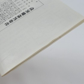 Famicom Disk SUPER MARIO BROS 2 Nintendo 2736 dk