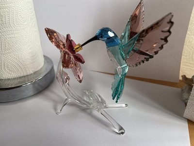 Swarovski Kolibri Paradise Bird 14cm hoch 