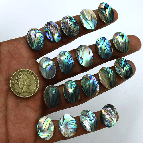 Lote de 19 piedras preciosas calibradas cabujón ovalado de grado superior de abulón natural de 18 mm x 13 mm - Imagen 6 de 15