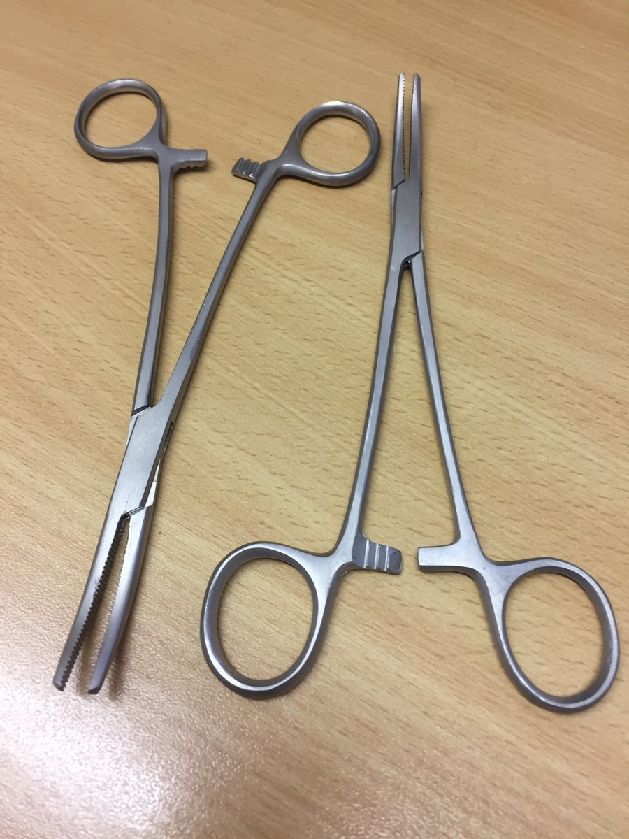 x STAINLESS STEEL INCH CURVED FISHING FORCEPS CURVED FORCEPS CARP  FISHING