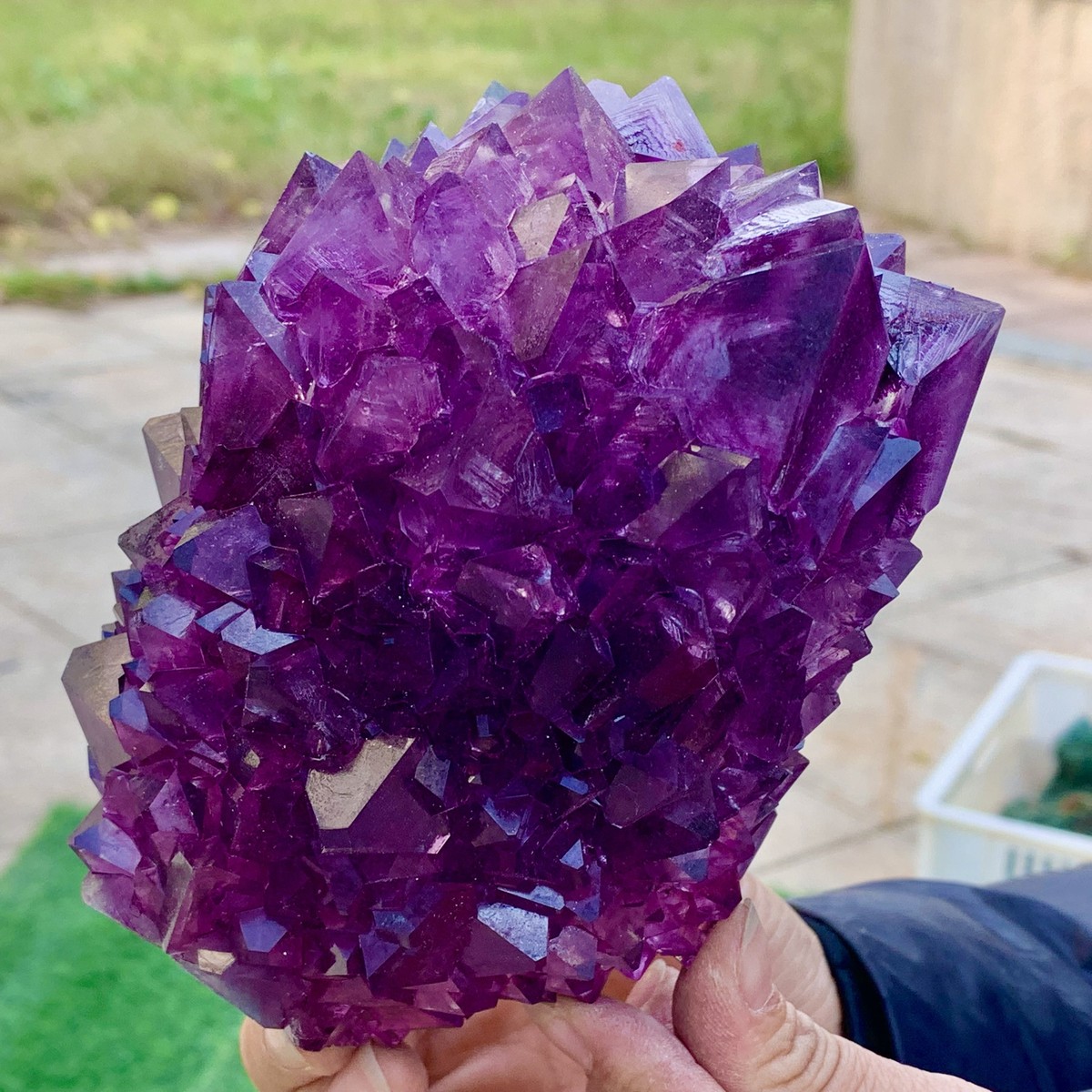 赤目天使　Kingod #2 Purple Crystal Beast 赤目天使 Kingod #2 Purple Crystal Beast My Advanced Crystal