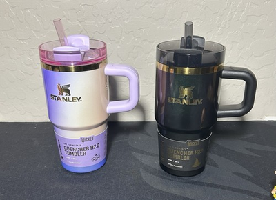 #ad #ad STANLEY TARGET X WICKED FOR GOOD 20 OZ ELPHABA AND GLINDA TUMBLER QUENCHER $95.00