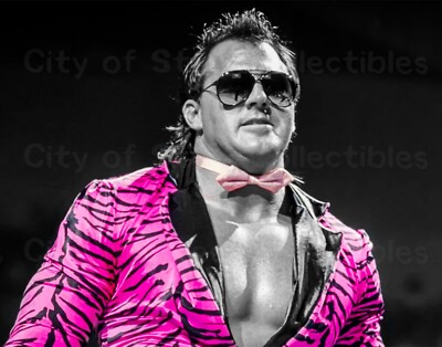Brutus Beefcake Metallic Spotlight Edit 11x14 photo WWE,  with a top loader. 