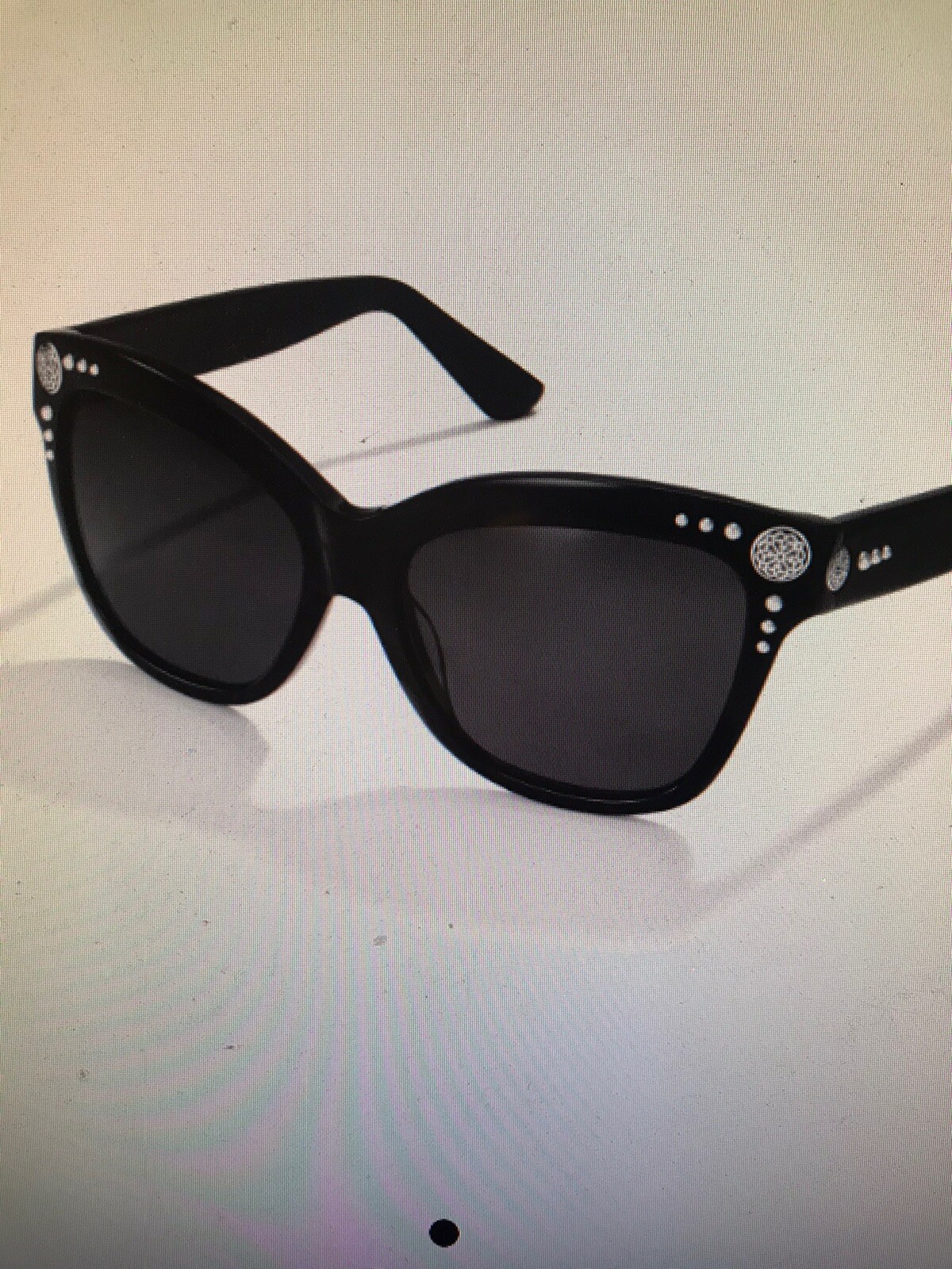 brighton sunglasses
