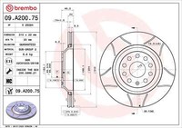 Brembo 2X Bremsscheiben Hinten BelüFtet Beschichtet FüR Vw Passat Variant Golf